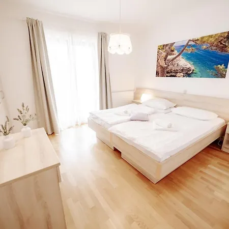 Begonia Villa *