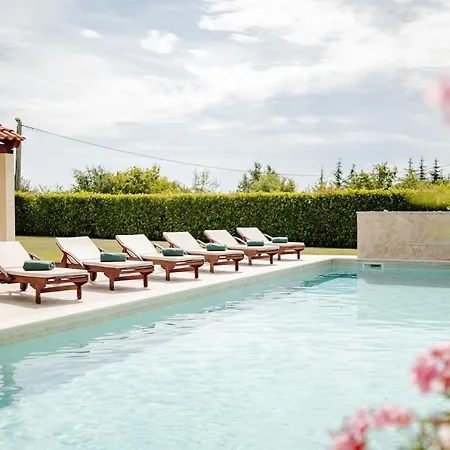 Begonia Villa Višnjan